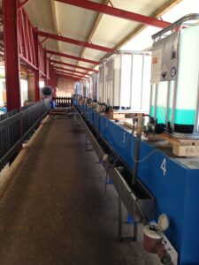 Example of Multi Color Mixing