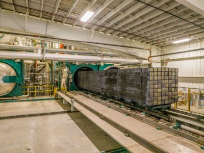 Larger Plant in the South East